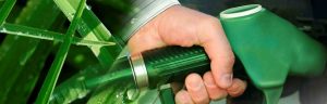 En mayo se definirán normas para producción de biocombustibles
